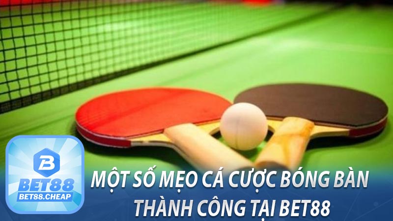 Một số mẹo cá cược bóng bàn thành công tại BET88